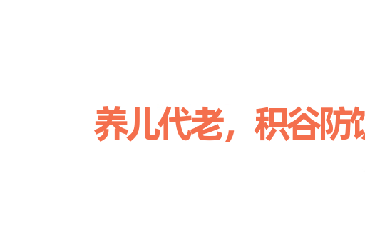 养儿代老，积谷防饥